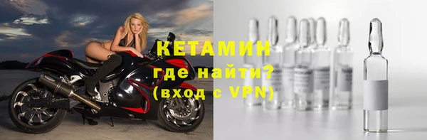 индика Волоколамск