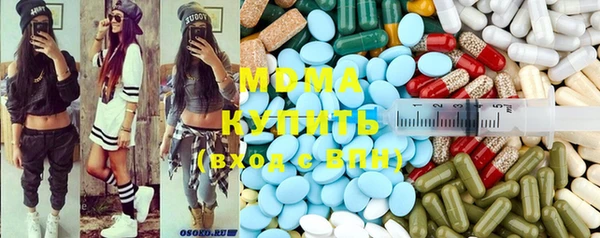 индика Волоколамск