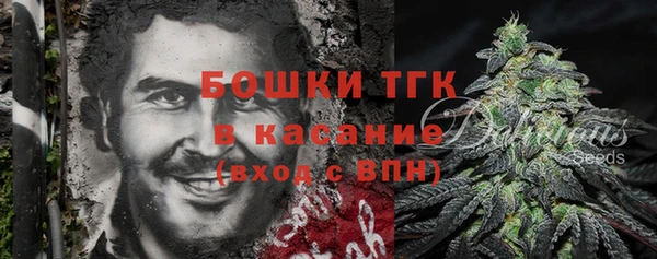 индика Волоколамск