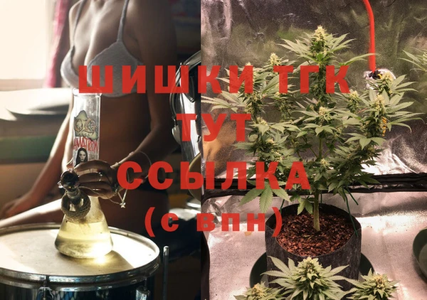 индика Волоколамск