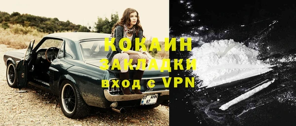 индика Волоколамск