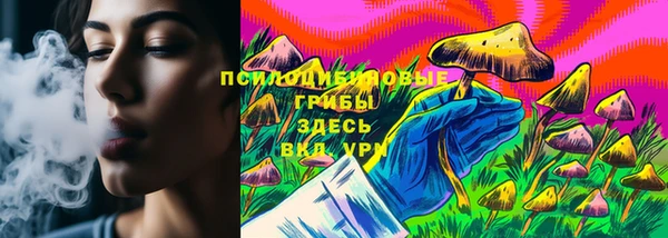 индика Волоколамск