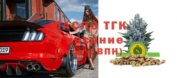 индика Волоколамск